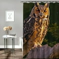 thumbnail image 2 of Autua Owl Tree Forest Bathroom Décor Set with Hooks, Graphic Print Polyester Stylish Shower Curtain Set, 100% Polyester Home Bathtubs Bathroom Decoration 69"x72, 2 of 7