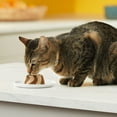 thumbnail image 5 of Meow Mix Tasty Layers Swirled Pate Cat Food, Chicken & Tuna Recipe in Sauce Stuffed With Real Chicken, 2.75 oz Cup, 5 of 14