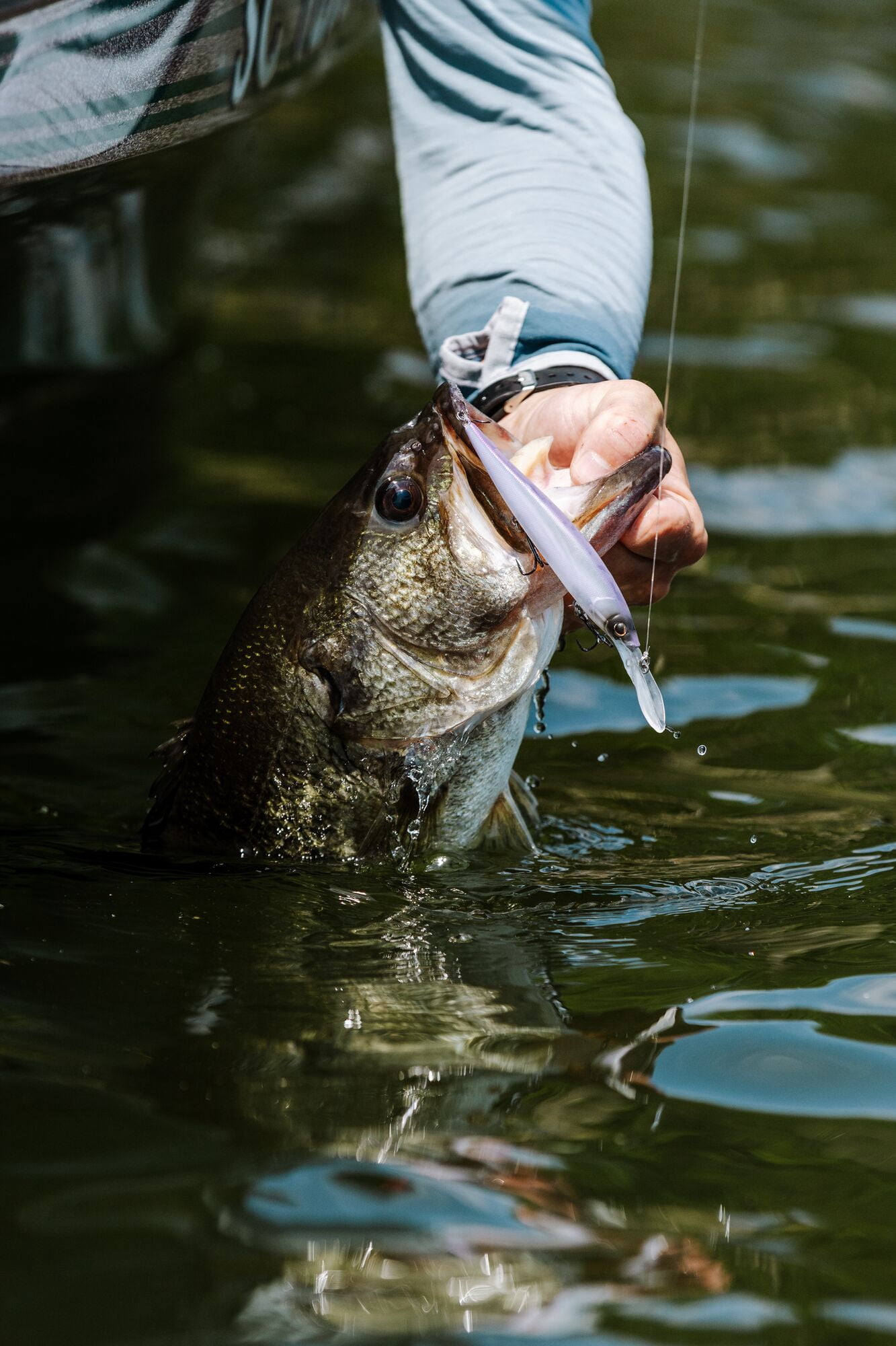 Berkley Stunna, 3 in, Jerkbaits, Blaze (1 Count)