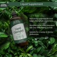thumbnail image 3 of Suplemento de clorofila líquida Buried Treasure, 100 mg, 473 ml, 3 of 6