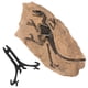 thumbnail image 4 of GOOHOCHY Juego de decoraciones de fósiles de dinosaurio, espécimen de dinosaurio simulado, adorno fósil, 1 Juego, 4 of 8