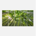 thumbnail image 2 of Design Art - Sommets de Bambou dans la Forêt de Kyoto, 2 of 3