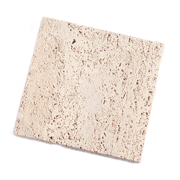 Accesorios de fotografía Nturl Storge Pruebe el estilo nórdico Plte Bodegón Fondos de pantalla Cuadrado Beige