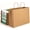 Brown, variant on EconoHome Premium Eco-Friendly 16 x 6 x 12 Inch Paper Bags - Recyclable Gift Bags with Handles for Shopping, Parties, and Everyday Use - 100 Pack