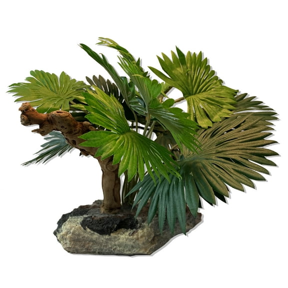 Pet-Tekk Mini Fan Palm with Climbing Branch