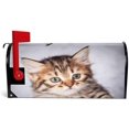 thumbnail image 2 of Coolnut Magnetic Mailbox Cover, Portrait of Little Tabby Kitten Post Mail Box Cover Mail Wraps Cover, Standard Size 20.7" L x 18" W, 2 of 5