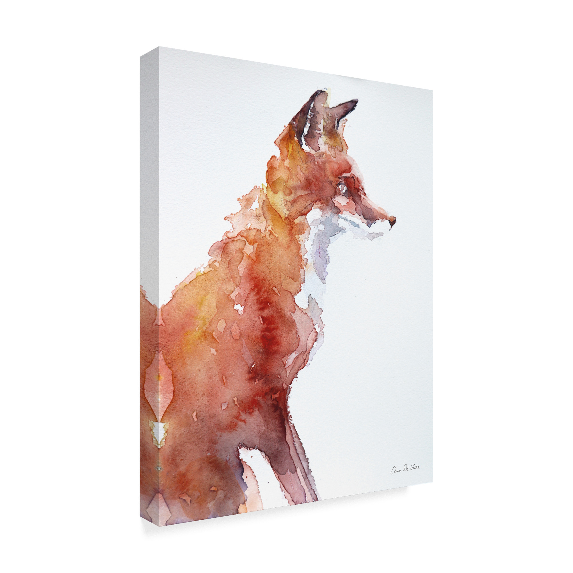 Trademark Fine Art 'Sly Fox' Canvas Art by Aimee Del Valle