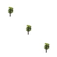 thumbnail image 2 of Matsuzay Árbol en miniatura de arena planta ornamento de jardín modelo de construcción DIY artesanía ferrocarril simulación decoración Type1 NO1, 2 of 6