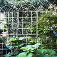 thumbnail image 4 of Holaki 4 Pack Metal Garden Trellis for Climbing Plants Indoor Outdoor,86.7”x80” Cream White Plant Support Stakes,Ivy Vine Lattice Panels,House Plant Accessories, 4 of 7
