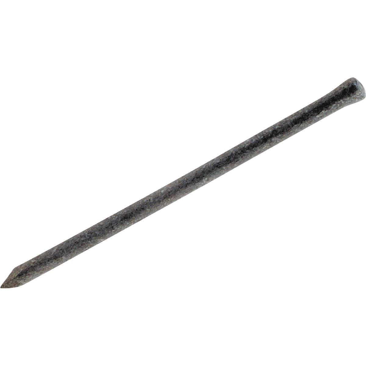 GripRite 10d x 3 In. 101/2 ga Hot Galvanized Casing Nails (4800 Ct