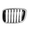 thumbnail image 1 of Grille Latérale du Conducteur Compatible/de Remplacement, 1 of 1