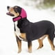 thumbnail image 4 of Pisexur Suministros para mascotas Gorros de baño impermeables para orejas de perro, gorros calmantes para orejas de perro grandes, gorro de ducha para protección de oídosperros, gatos y animales, 4 of 6