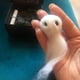 thumbnail image 3 of Adopta un fantasma - Adorno de fantasma de Halloween, 2024 nuevo fantasma de bolsillo súper lindo con un pequeño pergamino, fantasma de peluche de Halloween, mini muñeco de peluche fantasma, muñeco es, 3 of 7