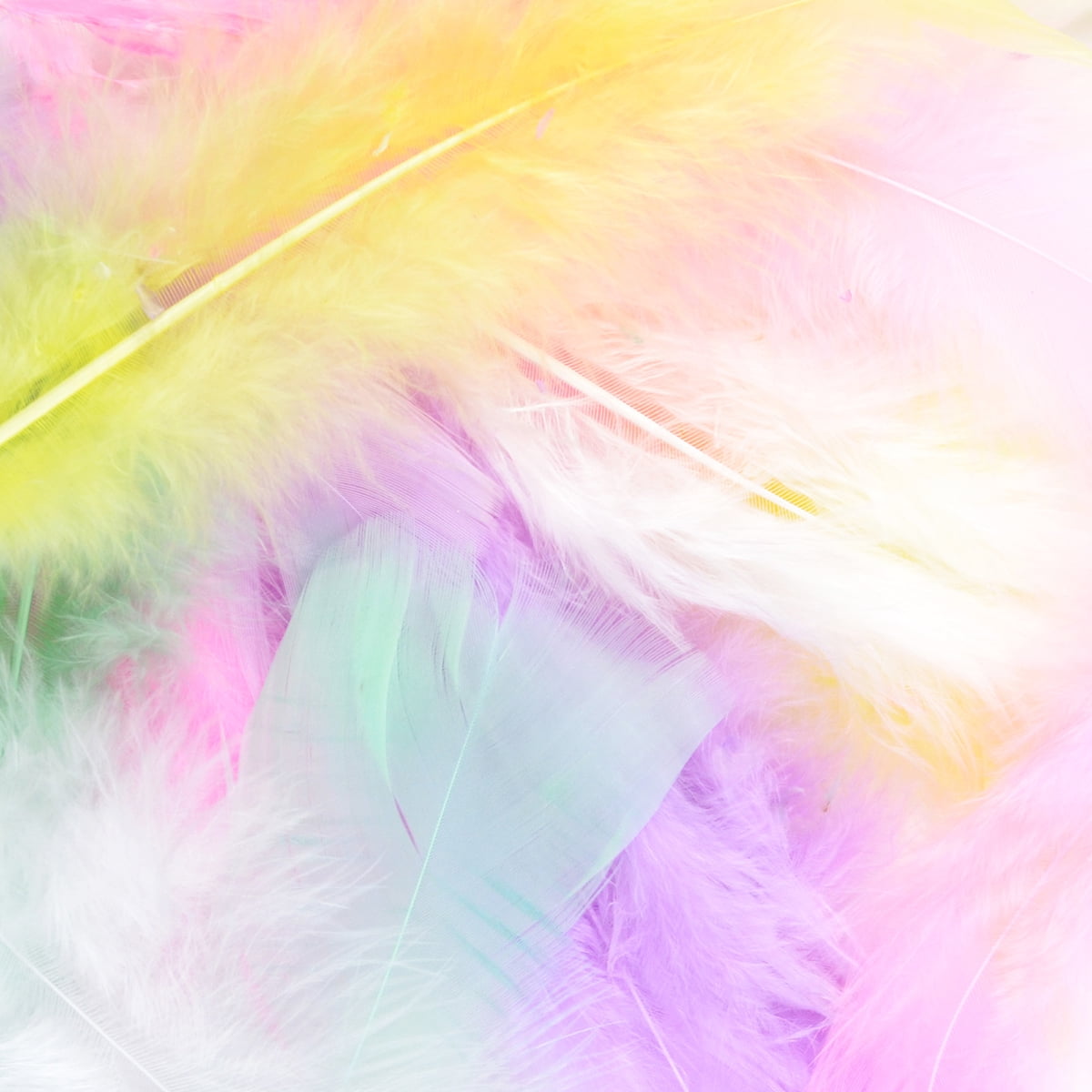 Flat Turkey Feathers, 14g