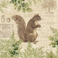 thumbnail image 2 of Gladding, Pamela 26x26 White Modern Wood Framed Museum Art Print Titled - Woodland Trail III - squirrel, 2 of 4