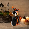 thumbnail image 7 of Halloween Porch Goose Outfit, Holiday Costume For Yard And Garden, Witch Hat And Dress Halloween Costume,One Size, 7 of 7