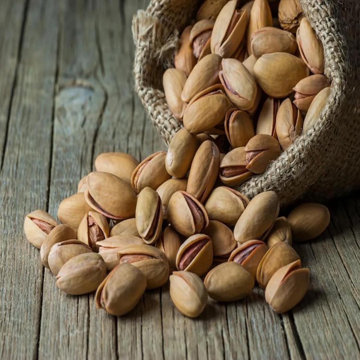 We Got Nuts Turkish Pistachios Whole Salted Nuts in Shell, Kosher, 5 lb, 80 oz, Resealable Pouch