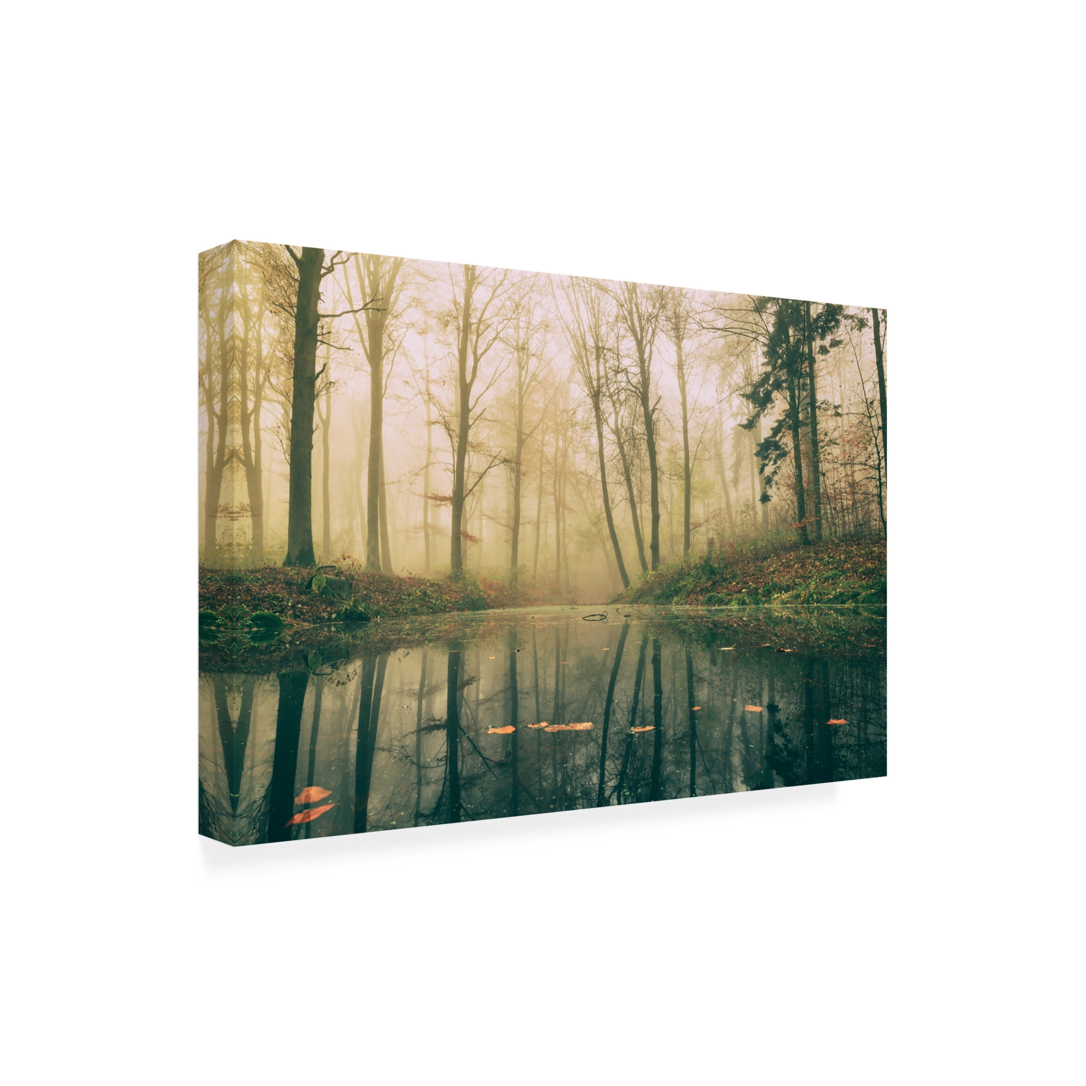 Trademark Fine Art Leif Londal Dark Water. Canvas Wall Art