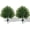 Green, variant on Artificial 28.7 Inches Cedar Topiary Trees with Ground Spike, 2 Pieces Fake Pine Shrubs Bushes, UV Resistant Faux Evergreen Cypress Tree Plants for Indoor Outdoor