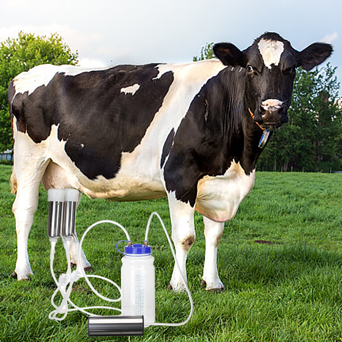 Portable Electric Milking Machine Vacuum Impulse Pump For Cow Goat Milker 5L 