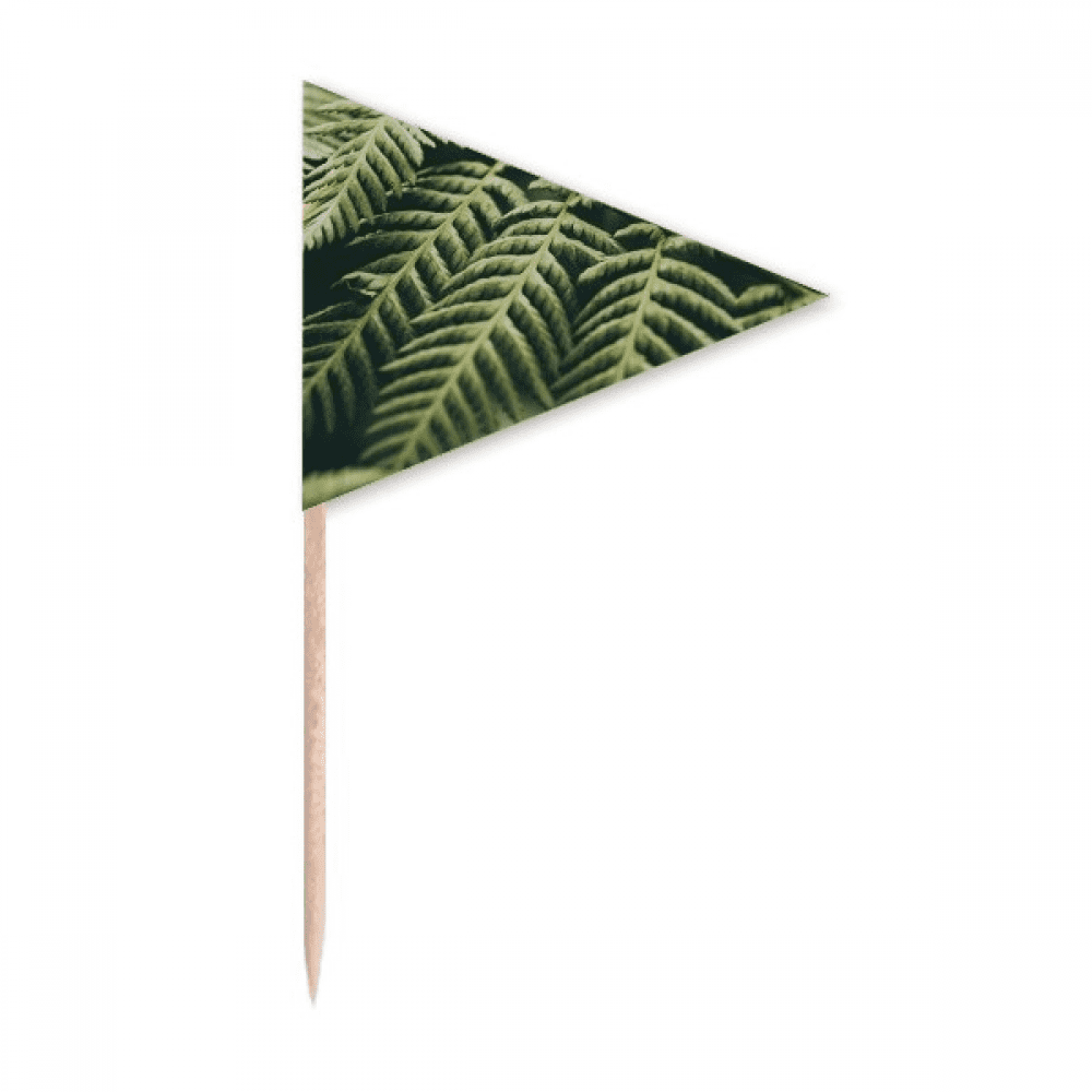 photography picture nature Toothpick Triangle Cupcake Toppers Flag