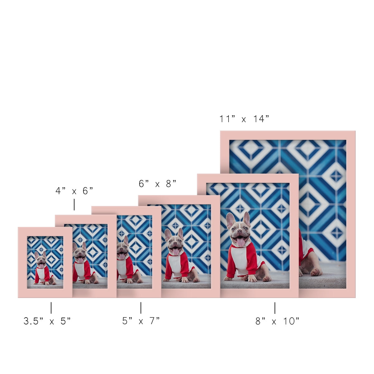 Modern 5 in. x 7 in. Pink Picture Frame (Set of 4)