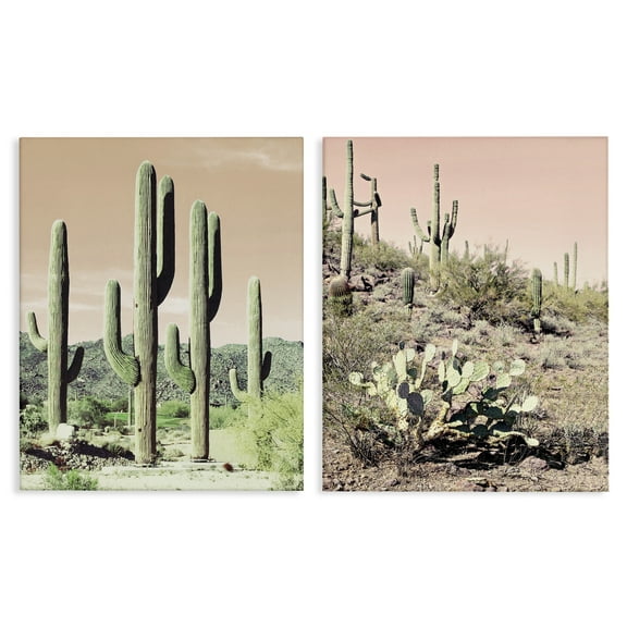 Stupell Industries Saguaro Cactus Desertscape Landscape & Nature Photography Wrapped Canvas Art Print Wall Art, 16 x 20, Set of 2