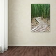 thumbnail image 4 of Trademark Fine Art 'Hiking Through the Bamboo Forest' Canvas Art by Pierre Leclerc, 4 of 4