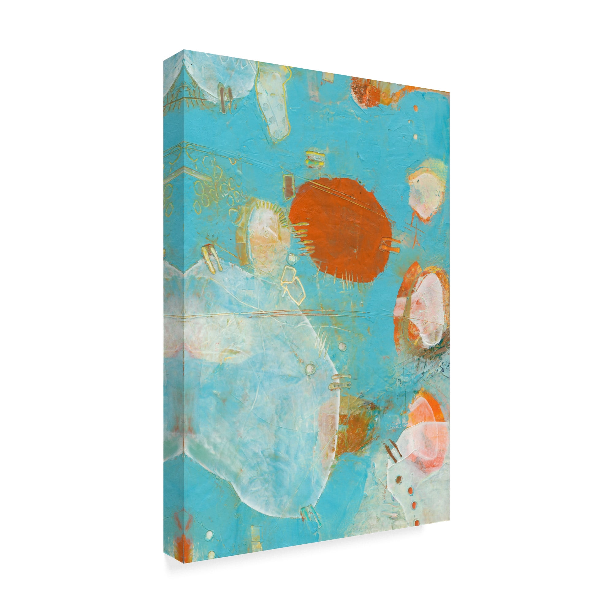 Trademark Fine Art 'Phenix II' Canvas Art by Sue Jachimiec