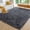 Dark Grey, variant on Sonive 4×6 Feet Fluffy Shaggy Area Rug, Washable Rug Modern Soft Large Neutral Non-Slip for Bedroom Dining Living Room, Beige