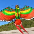 thumbnail image 1 of Outdoor Kite, Kite, Fun Toy Sports Flying Kites for Flying, 1 of 8
