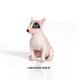 thumbnail image 1 of Figuras de simulación de perro de montaña bernés, gran danés, bóxer, bull terrier, pug y bulldog, figuras de cachorros de juguete, variedad de animales caninos a granel, 1 of 5