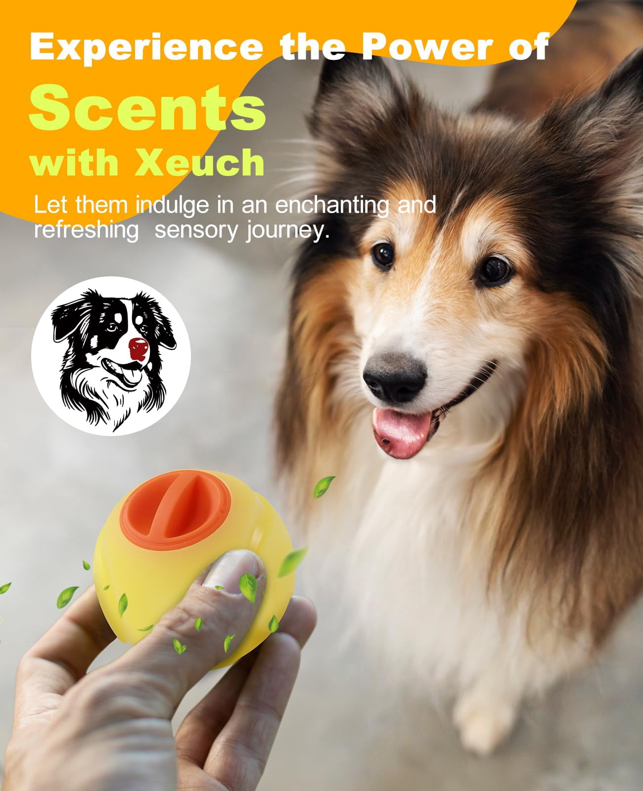 LED Light Up Dog Ball Toys, Rechargeable Bounce-Activated Durable Fetch Ball, Natural Rubber, 2.5 inches