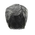 thumbnail image 2 of Bradem Men's White/Gray/Silver Wig&nbsp;- With Wig Net, Heat-Resistant, Adjustable Size, Natural Look, 2 of 9