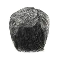 LHWEN Men's Wig With Wig Net Natural White Hair Gray And Silver Hair Color Heat Wig Size Adjustable Beauty Salon Straight Hair Fun Lace Wavy Curls Braided Hair Synthetic Hair bohon Perfect eryday