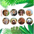 thumbnail image 4 of León Tigre Jirafa Elefante Panda Serpiente Babuino Leopardo Pegatinas para Niños Maestros, 500 Piezas Pegatinas de Diseño para Fiestas de Cumpleaños Infantiles, Recompensa Escolar, Regalos, 4 of 4