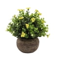 thumbnail image 2 of Safeglitz Artificial Potted Small Plant with Hemispherical Pulp Bonsai, Lifelike Greenery for Tabletop Decoration, No-Watering Design for Easy Home or Office Desk Accents, 1PC, 2 of 9