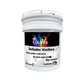 thumbnail image 1 of Sellador Vinílico Blanco de 19L ProtectWall 19L Sellador Vinílico Interior/Exterior Secado 1 Hora Blanco., 1 of 1