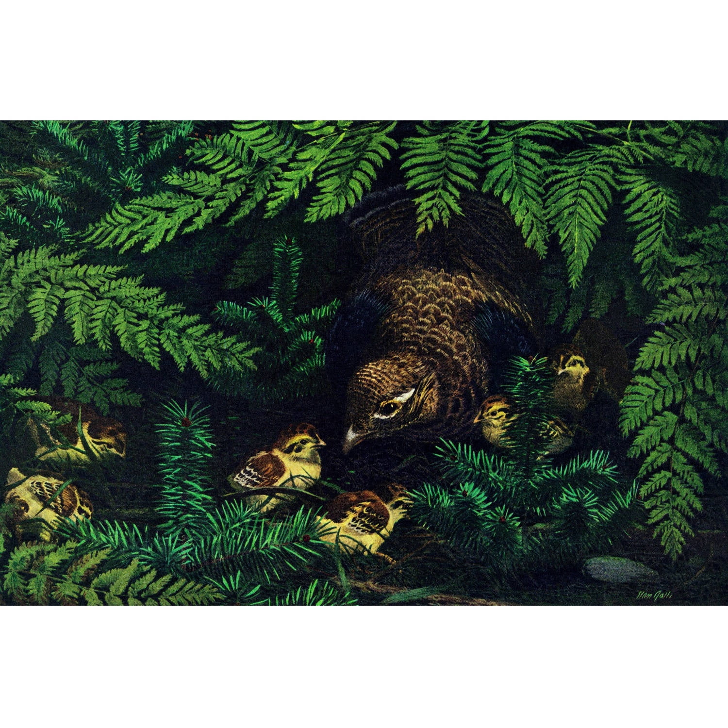 "Hen and Chicks" Painting Print on Wrapped Canvas