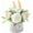White with ceramic vase, variant on KIRIFLY Artificial Flowers Fake Silk Flower with Vase Flower Centerpieces for Wedding Decoration Table(Green with vase set)