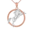 thumbnail image 1 of STALLION HORSE ROPE PENDANT NECKLACE IN TWO TONE ROSE GOLD :  14K  Pendant with 20" chain, 1 of 1