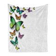 thumbnail image 1 of Butterfly Soft Flannel Fleece Blanket, Different Size Butterflies on Plain Background Wild Nature Graphic Bohemian Print, Cozy Plush for Indoor and Outdoor Use, 70" x 90", Multicolor, by Ambesonne, 1 of 6