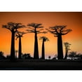 thumbnail image 3 of Ren Rong, Raymond 24x18 Black Modern Framed Museum Art Print Titled - Sunset In Morondava, 3 of 5
