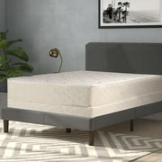 Continental Sleep, 10-Inch Medium Plush Tight Top Innerspring Mattress & 8" Wood Box Spring Set, Queen