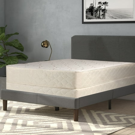 Continental Sleep, 10-Inch Medium Plush Tight Top Innerspring Mattress & 8" Wood Box Spring Set, Queen