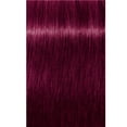 thumbnail image 2 of Schwarzkopf Professional Igora Royal Permanent Hair Color Creme Dye, 9-98 Extra Light Blonde Violet Red, 2.1 oz, 2 of 4