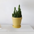thumbnail image 1 of Maceta de macetas de maceta, decoración de mesa, olla de guardería con agujeros de drenaje para plantas manualidades de boda a favor de Amarillo, 1 of 8