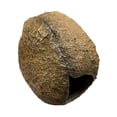thumbnail image 4 of Acuario Escondite de roca Escondite Paisajismo de pecera Artesanía de resina Decoración de acuario Adorno de pecera para escritorio de casa, 4 of 7
