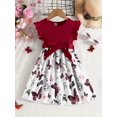 thumbnail image 6 of WIBACKER Toddler and Little Girls Ruffle Short Sleeve Dress Butterfly Kids Summer Sundress with Belt, 6 of 8