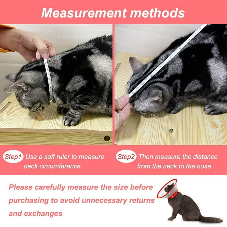 Cat licking flea collar cheap